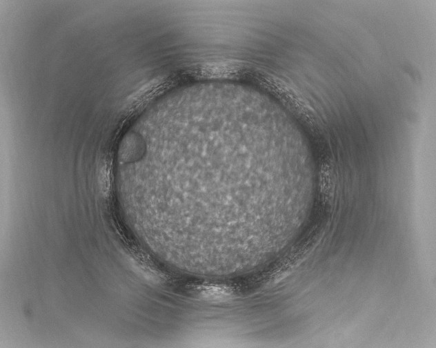 X0000115400741200911171517