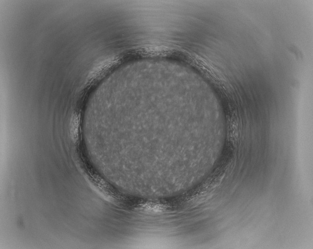 X0000115400742200911171517