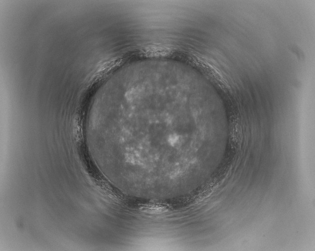 X0000115400743200911171517