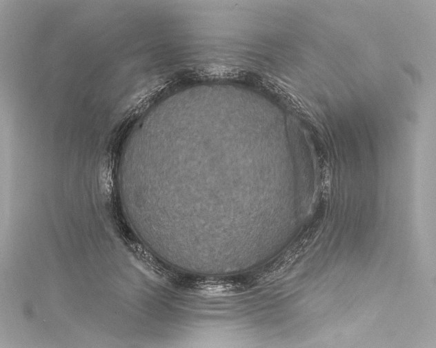 X0000115400746200911171517