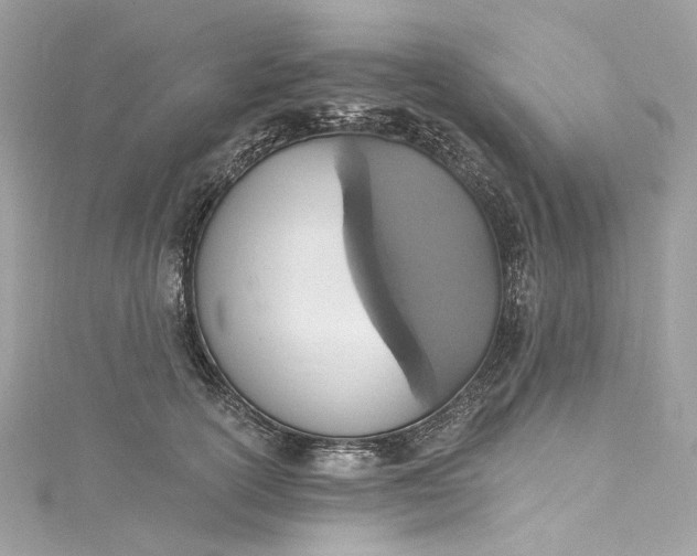 X0000115400754200911171517