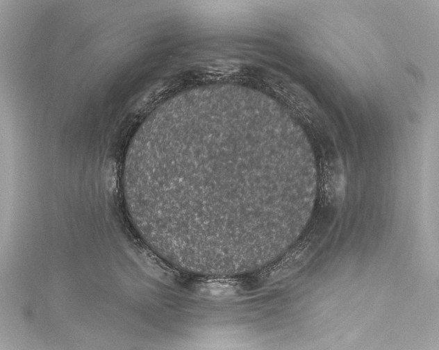 X0000115400758200911171517