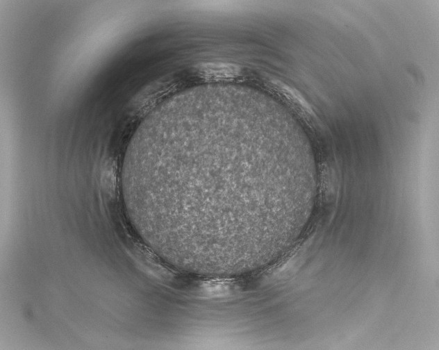 X0000115400761200911171517