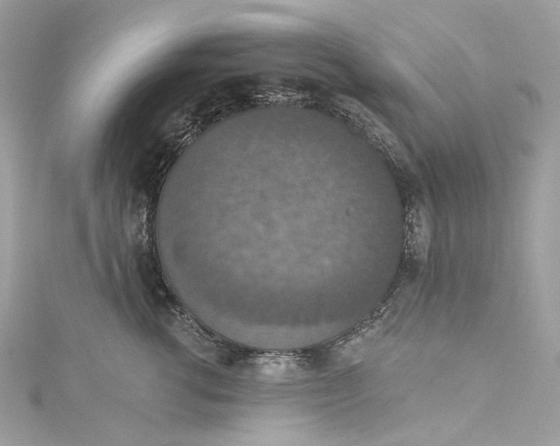 X0000115400762200911171517