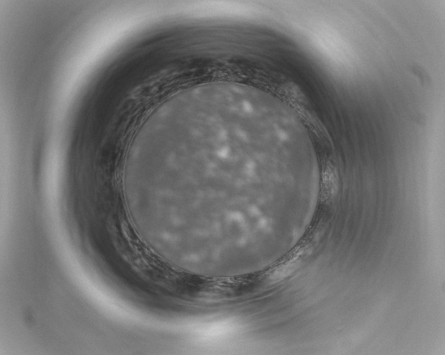 X0000115400765200911171517