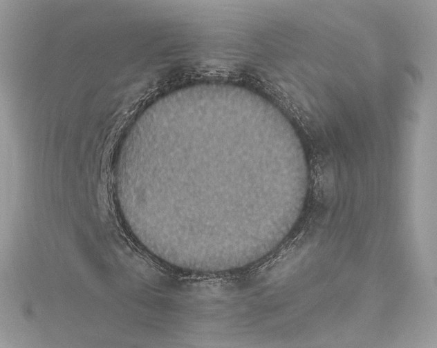 X0000115400769200911171517