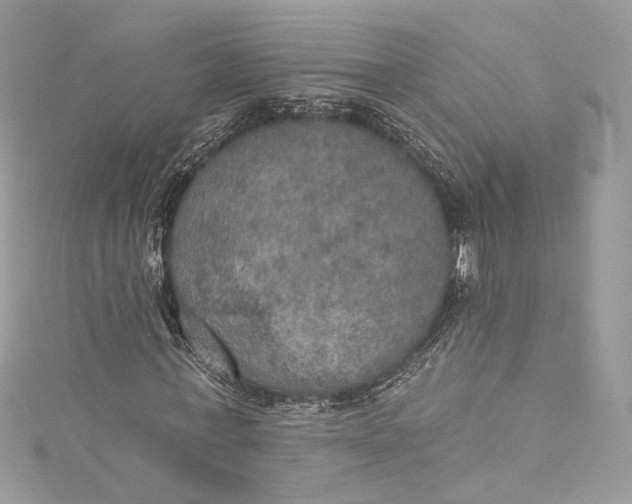 X0000115400771200911171517