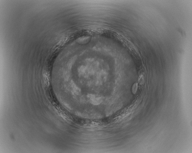 X0000115400772200911171517