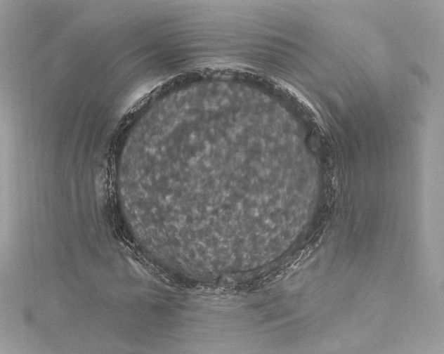 X0000115400775200911171517