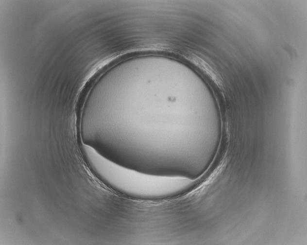 X0000115400781200911171516