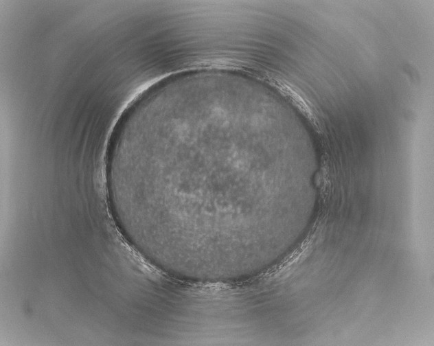 X0000115400784200911171516