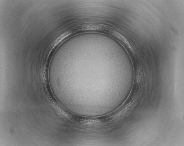 X0000115400786200911171516