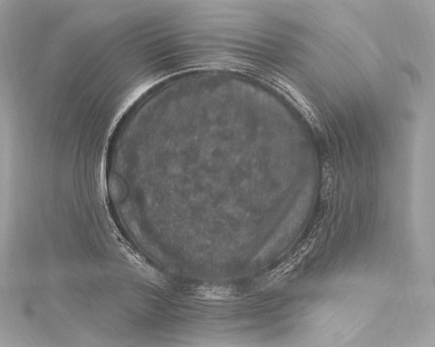 X0000115400788200911171516
