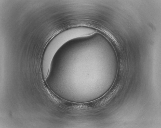 X0000115400793200911171516