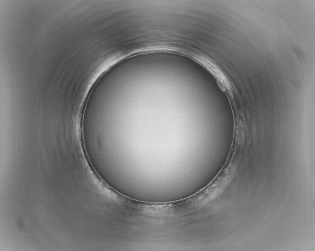 X0000115400813200911171516