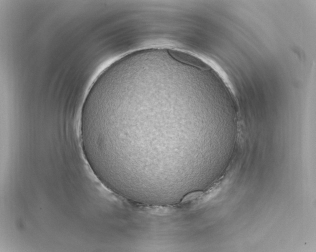X0000115400815200911171516