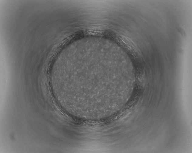 X0000115400817200911171515