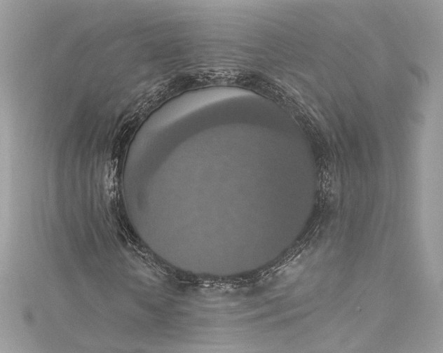 X0000115400818200911171515