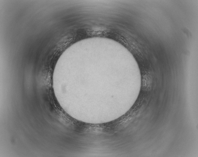X0000115400820200911171515