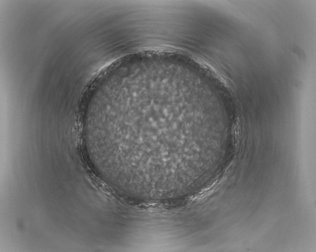 X0000115400822200911171515