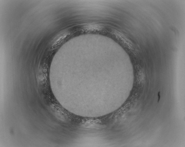 X0000115400824200911171515