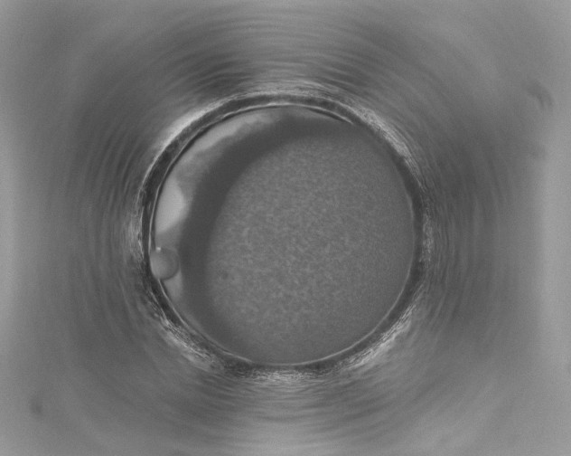 X0000115400830200911171516