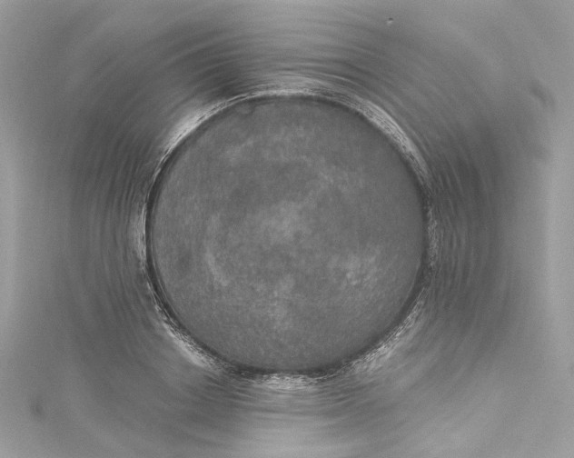 X0000115400842200911171516