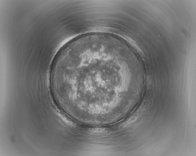 X0000115400846200911171516