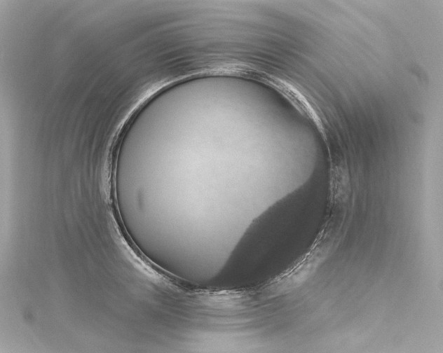 X0000115400851200911171516