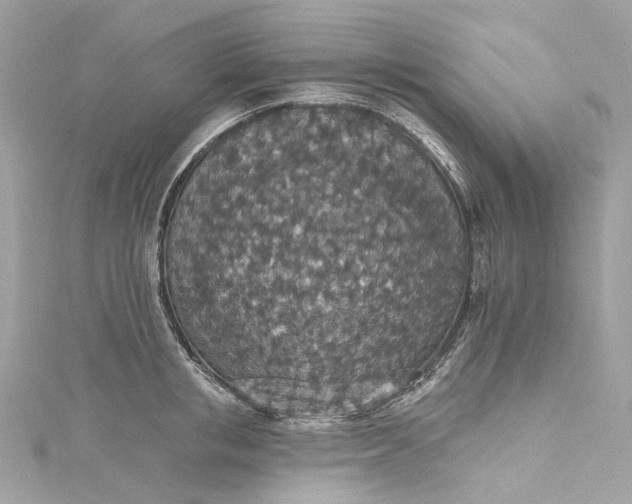 X0000115400853200911171516