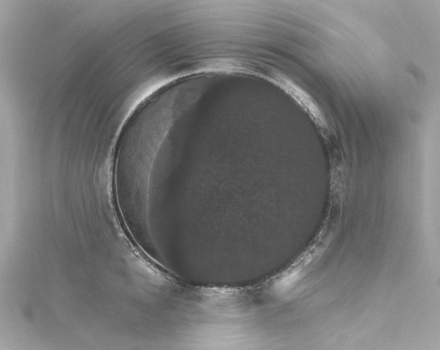 X0000115400854200911171516