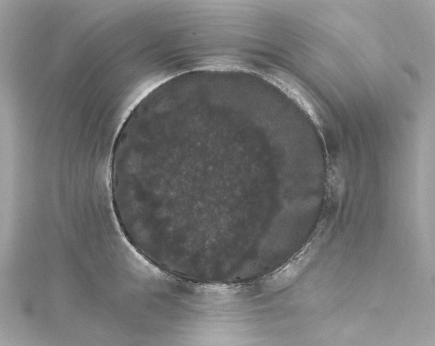 X0000115400855200911171516