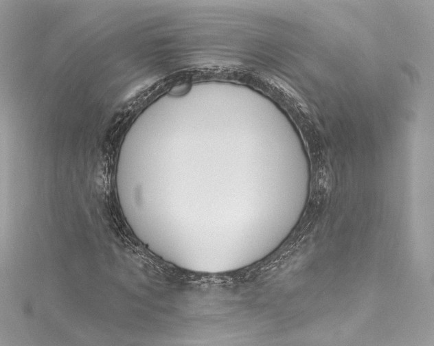 X0000115400869200911171515