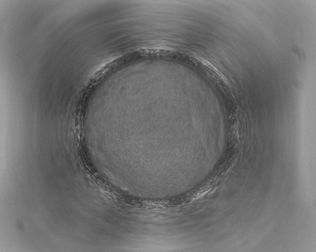 X0000115400870200911171515