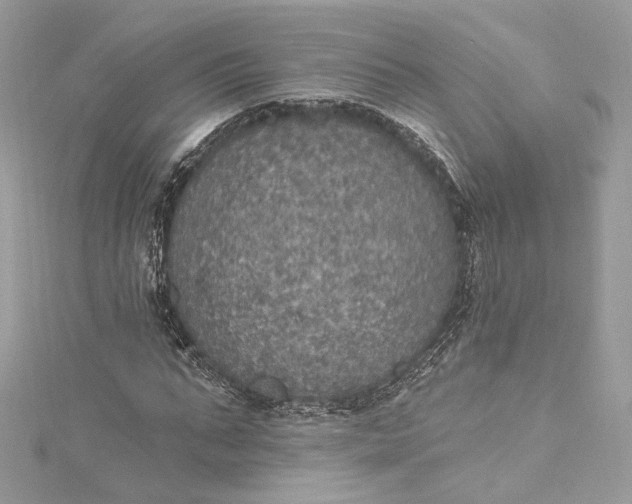 X0000115400871200911171515