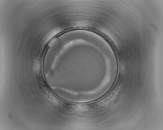 X0000115400874200911171515