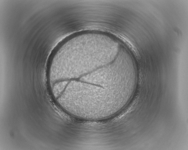 X0000115400880200911171515
