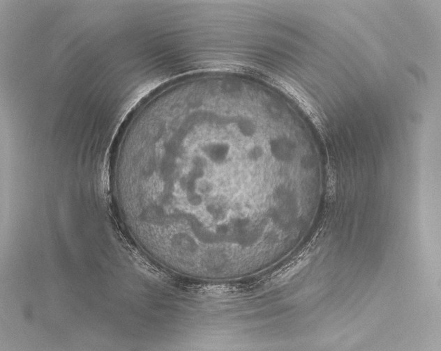 X0000115400883200911171515