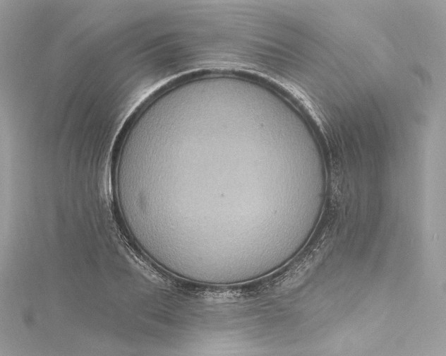X0000115400887200911171515