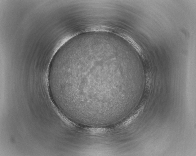 X0000115400893200911171515
