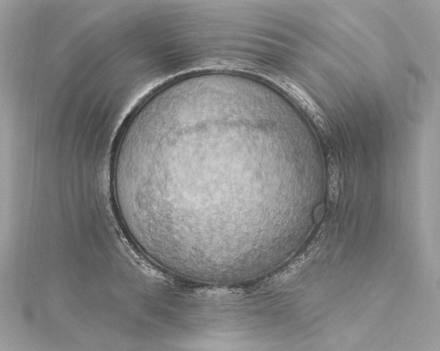 X0000115400896200911171515