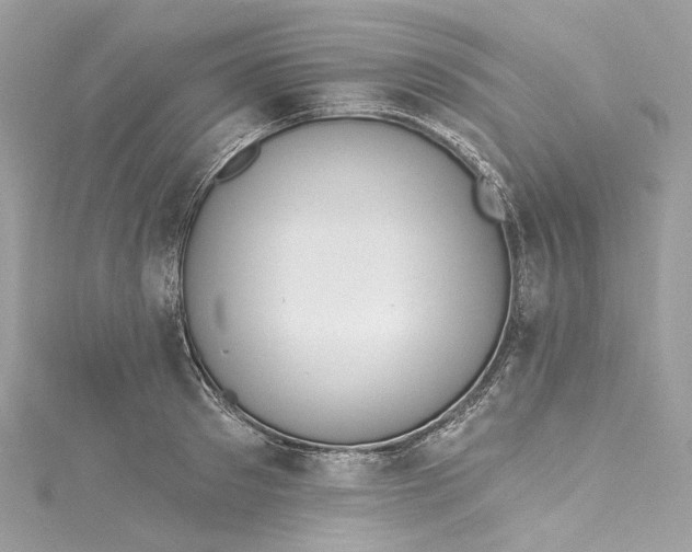 X0000115400897200911171515