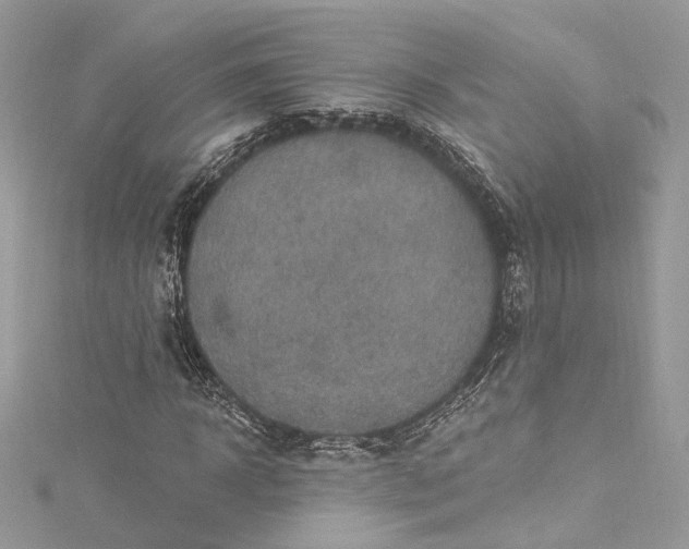 X0000115400918200911171514