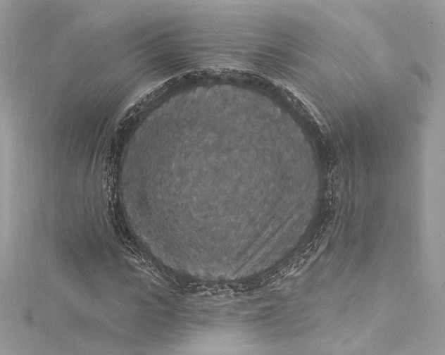 X0000115400919200911171514