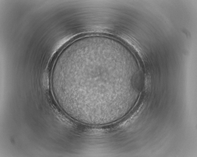 X0000115400925200911171514
