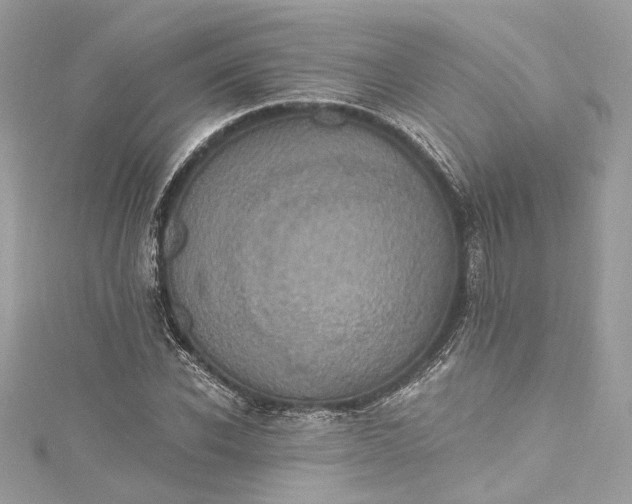 X0000115400926200911171514