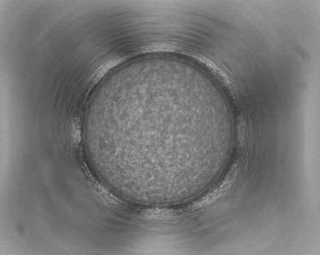 X0000115400929200911171514