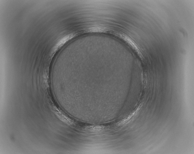 X0000115400930200911171514