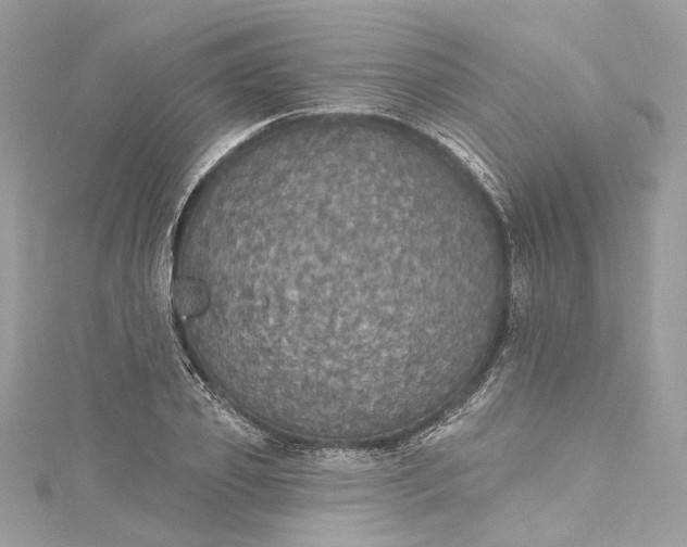 X0000115400933200911171514