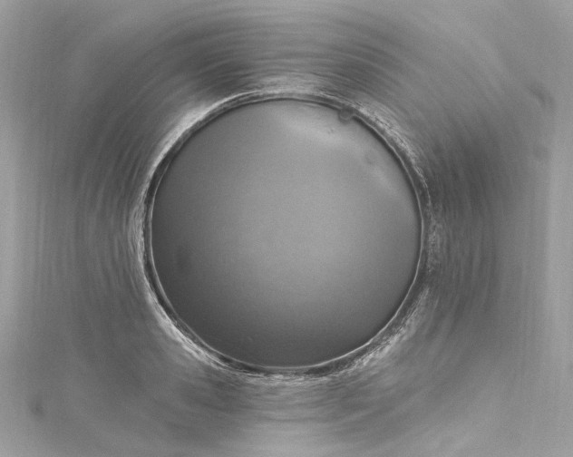 X0000115400941200911171514